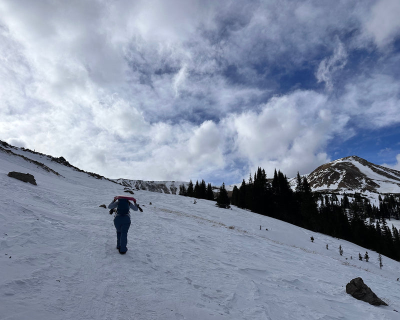 Overcoming the "Winter Blues": Insights and Possible Natural Solutions for Seasonal Mood Changes